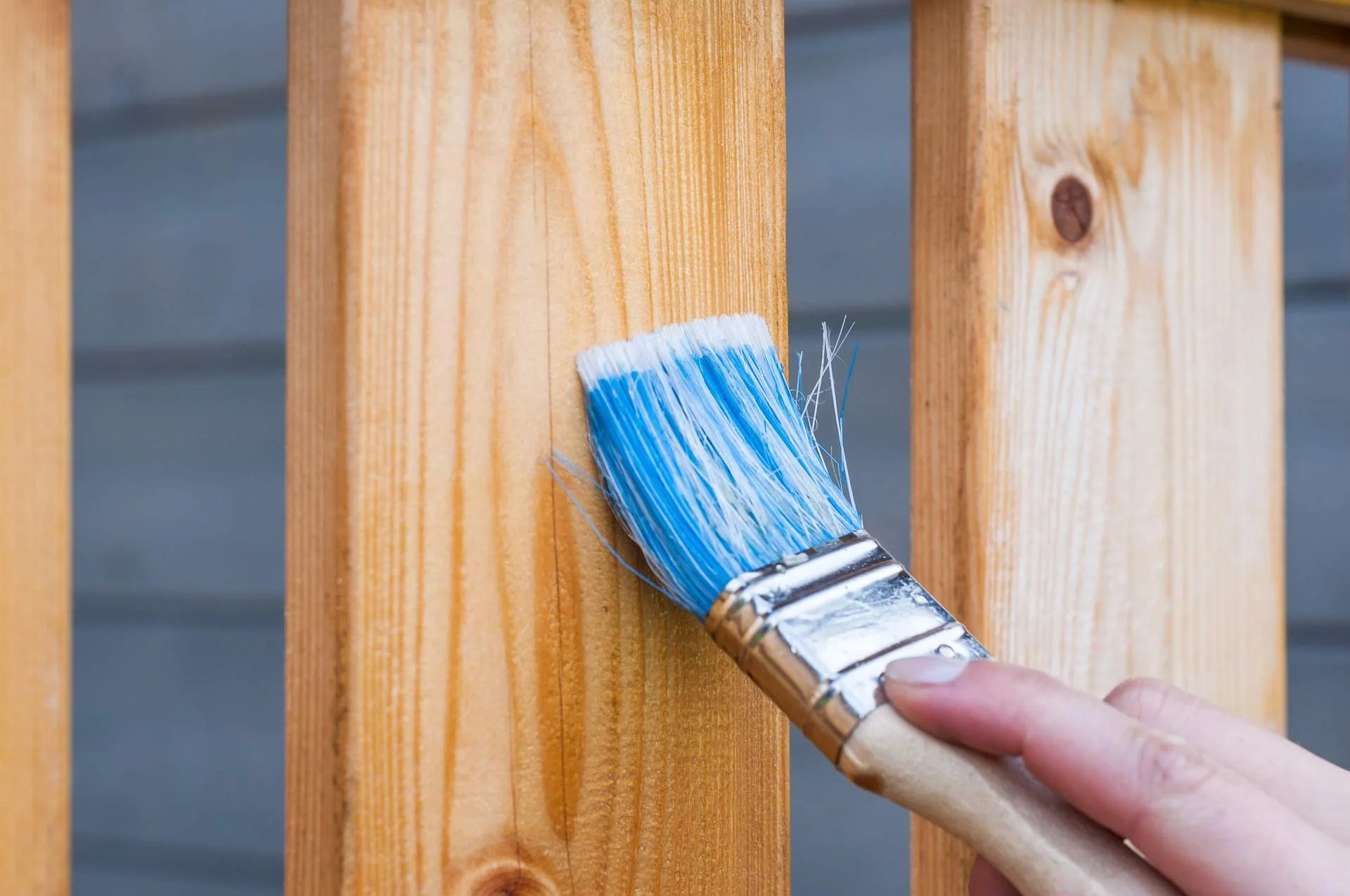 painting contractor